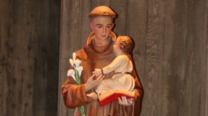 ST. ANTHONY'S FEAST